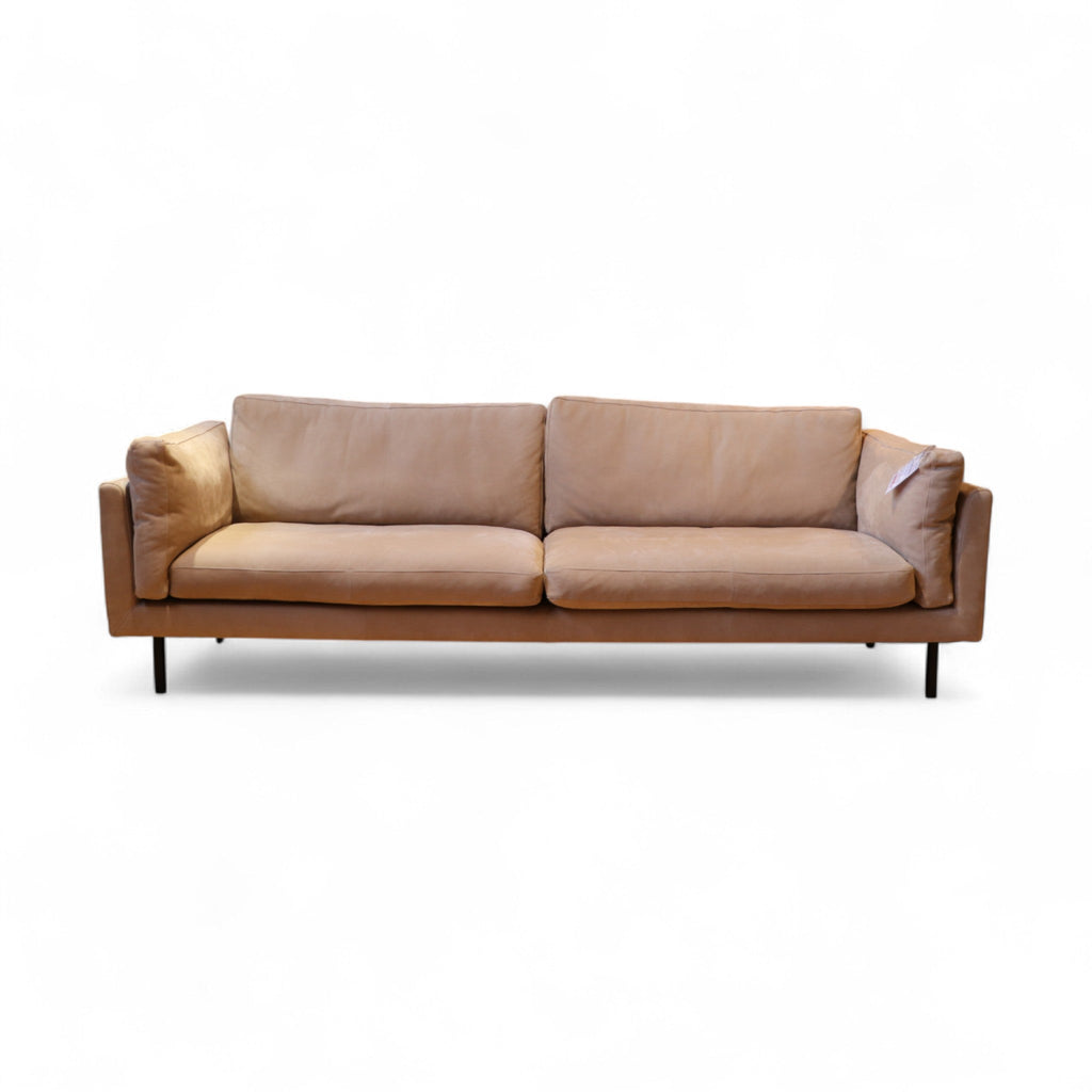 Sofa Tommy M „Ferrara“ – 3,5-Sitzer in Nubuck-Leder Gobi