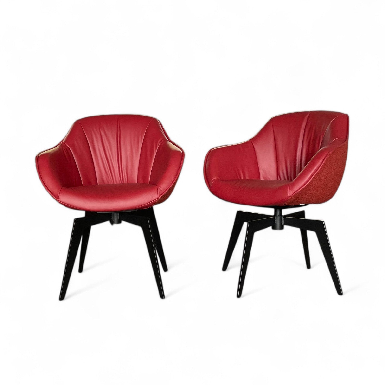 W.Schillig 6er Stuhl-Set 11644 „toraa“– Leder Rosso & Stoff Terracotta